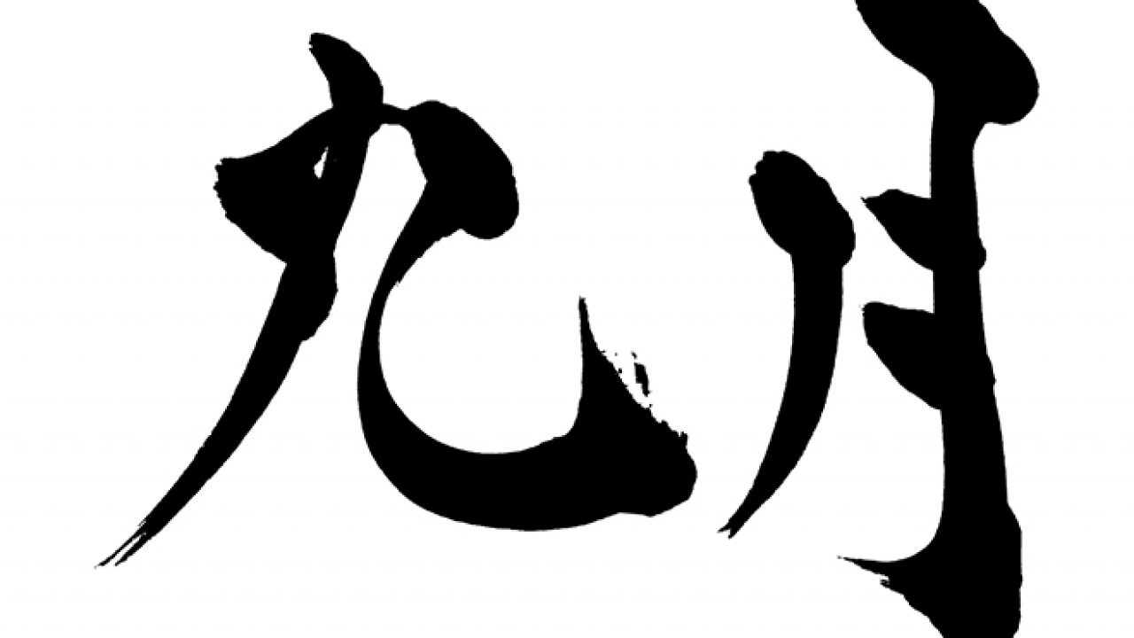 vewoob000028-1-1280x720.jpg