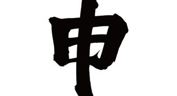 申