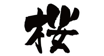 桜