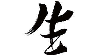生
