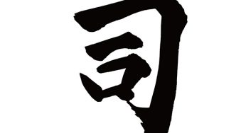 司
