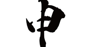 申