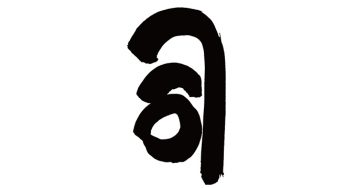 司