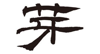 芽