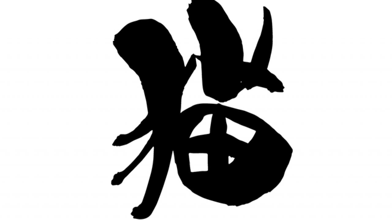 veworequ000439-1-1280x720.jpg