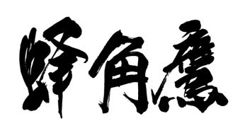 蜂角鷹
