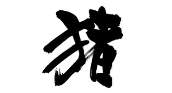 猪
