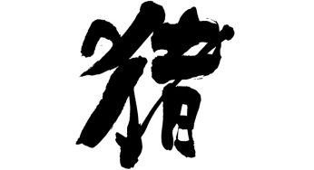 猪