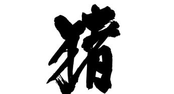 猪