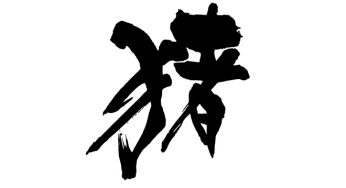 猪