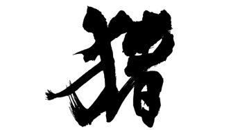 猪