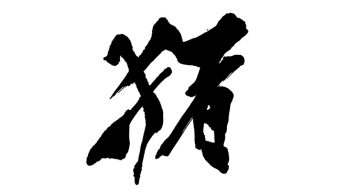 猪