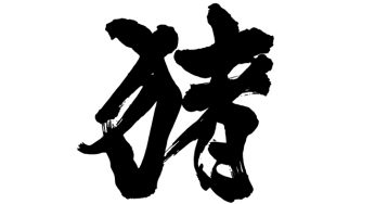 猪