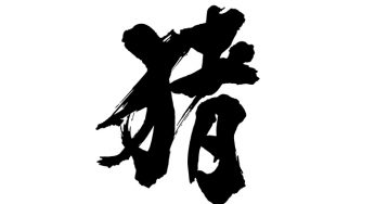 猪