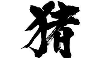 猪