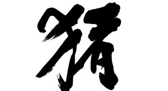 猪