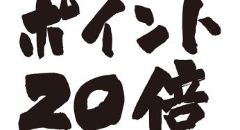 ポイント20倍
