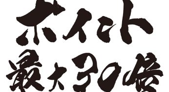 ポイント最大30倍