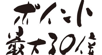 ポイント最大30倍